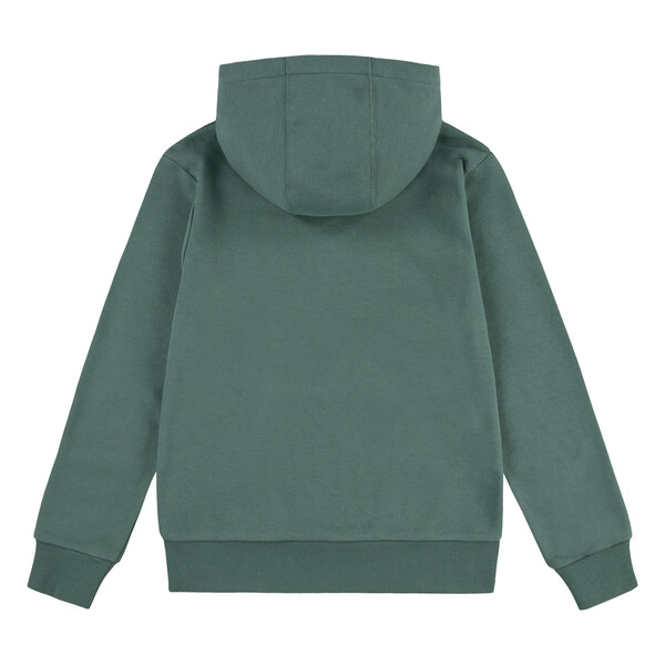 Hovedbilde LEVIS HOODIE 9EE910-EFX - DARK FORREST