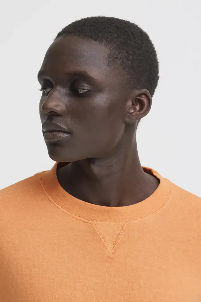 Hovedbilde Blend Karlos Sweatshirt 20720712 - Muskmelon 151242