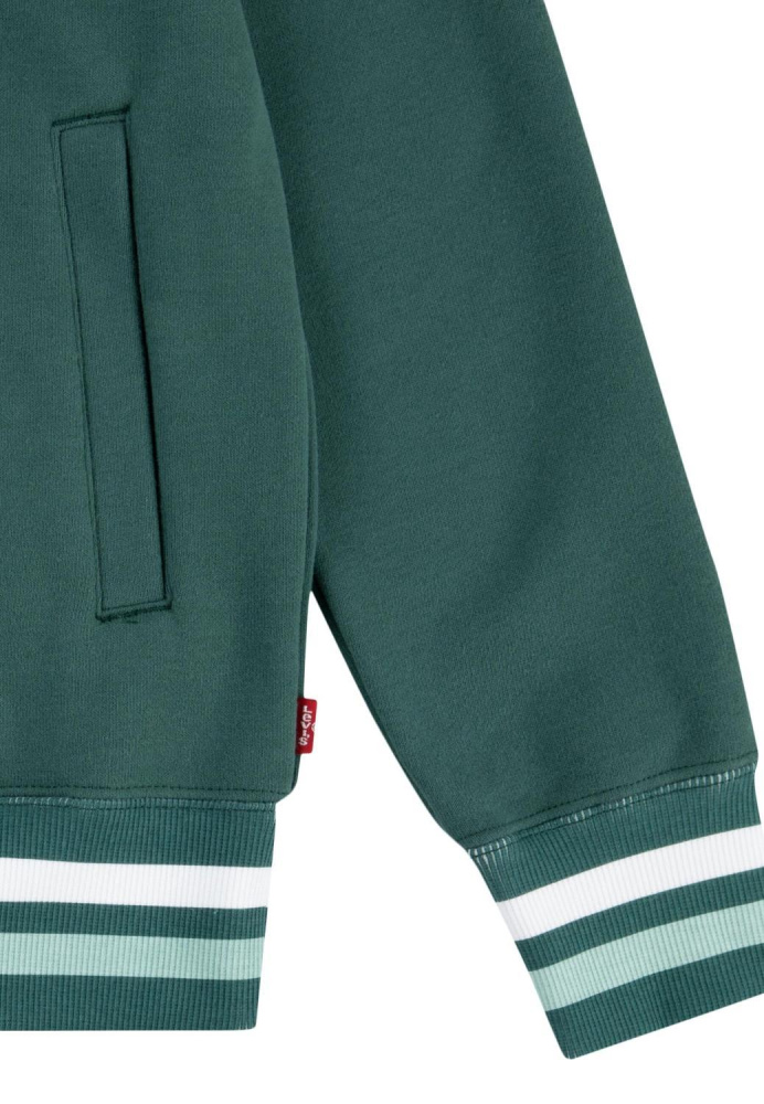 Hovedbilde Levis Hoodie 9el158-b84 - Bistro Green