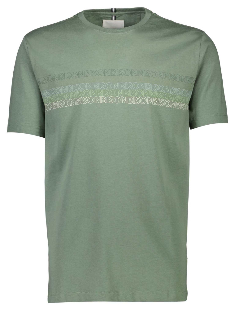 Hovedbilde BISON O-neck Tee 80-400112 - Green