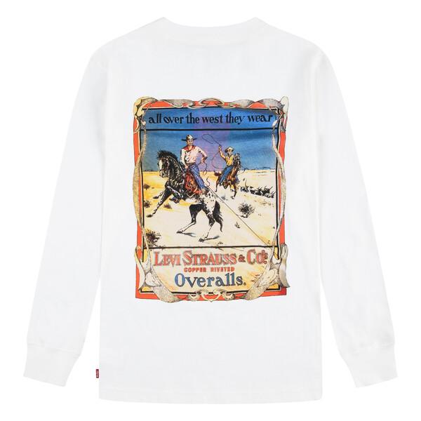 Hovedbilde Levis jumper 9el428-w0e - levis egnet